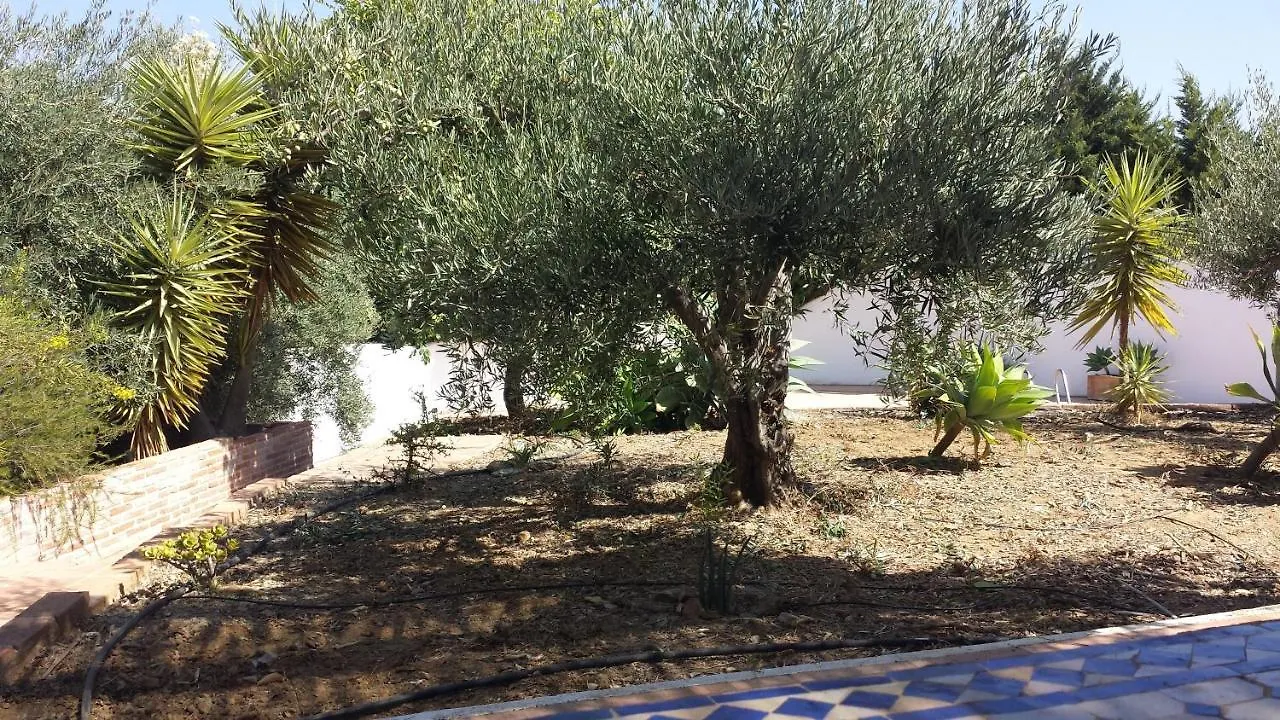 Casa Laura Villa Almunecar 0*,  Spain